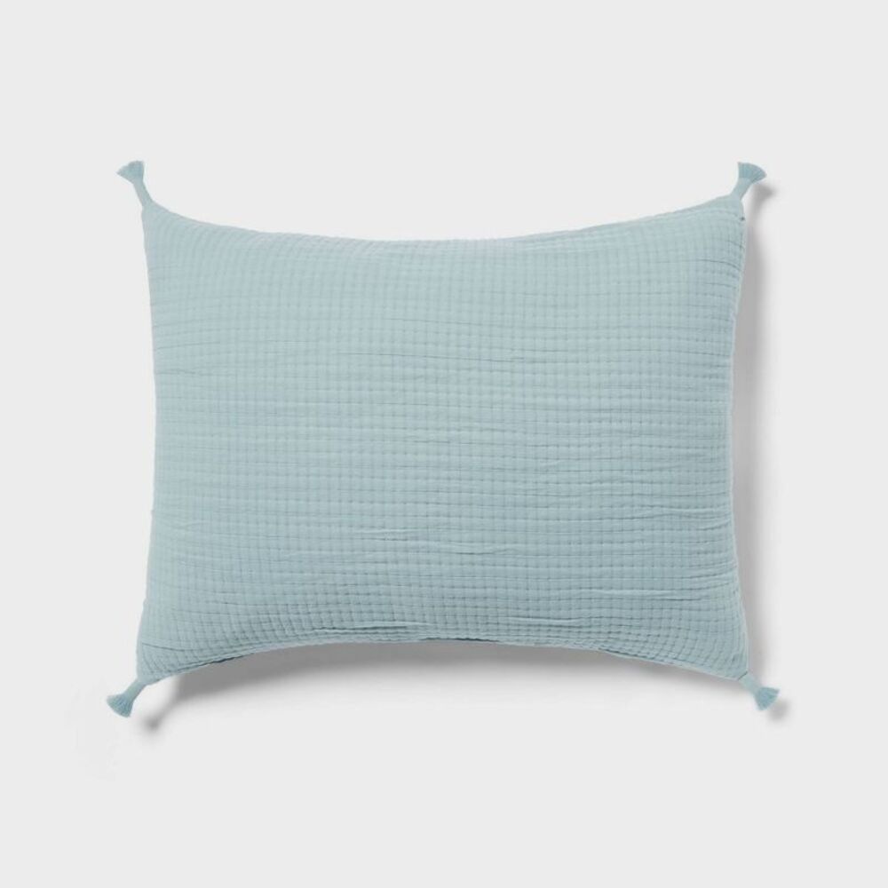 Standard Double Cloth Cotton Jacquard Pillow Sham - Light Teal Blue